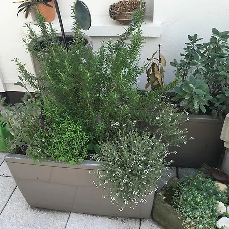 Bed and breakfast Mangolds Boutique & Fruehstuecksmeisterei Schweinfurt