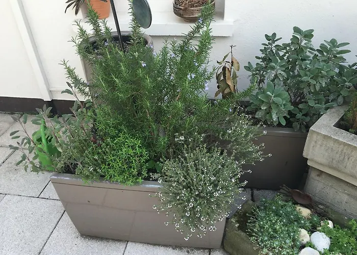 Bed & Breakfast Mangolds Boutique & Fruehstuecksmeisterei Schweinfurt